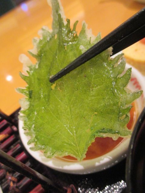 IMG_5477.JPG