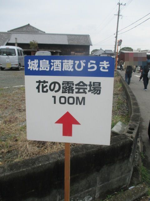 IMG_6503.JPG