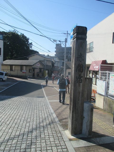 IMG_9901.JPG