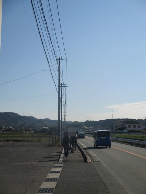 IMG_9903.JPG