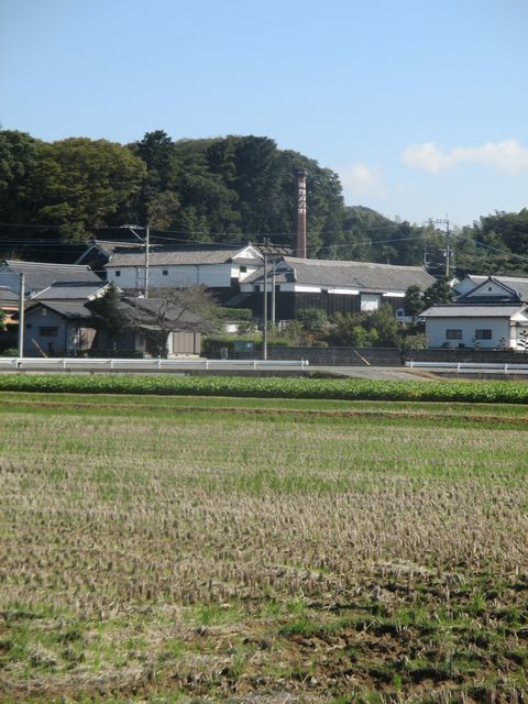 IMG_9904.JPG