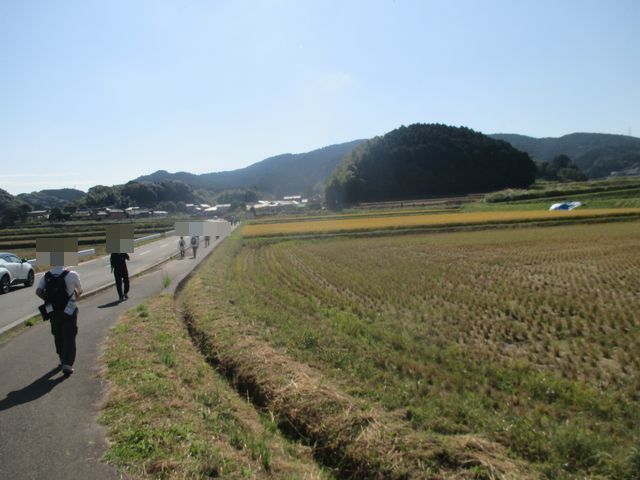 IMG_9930.JPG