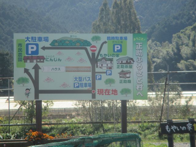 IMG_9936.JPG