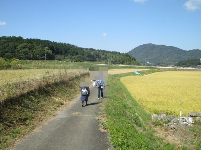 IMG_9969.JPG