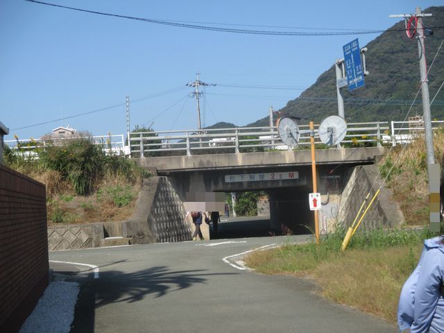 IMG_9973.JPG