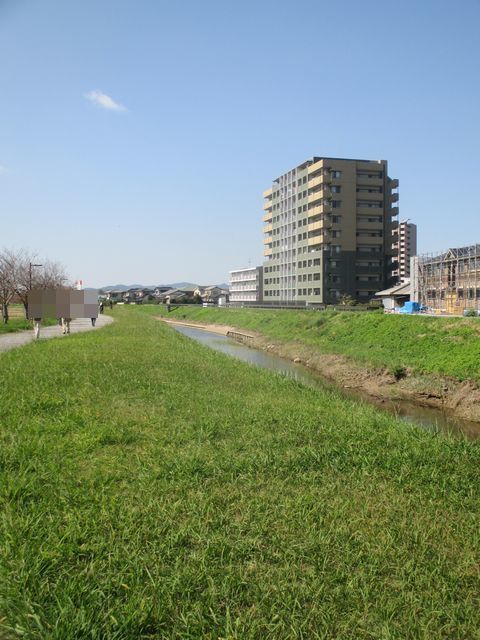 IMG_9975.JPG
